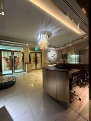 Furama Riverfront (D3), Retail #596397221